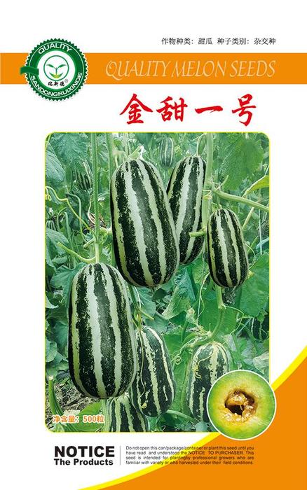 金甜一号